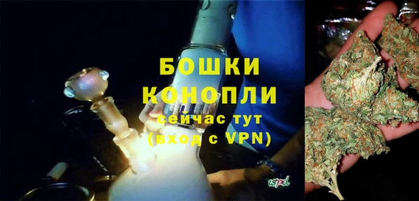 мяу мяу мука Иннополис