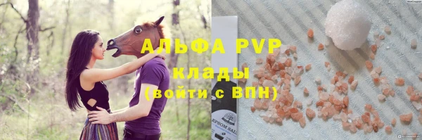 дмт Инта