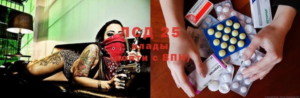 дмт Инта