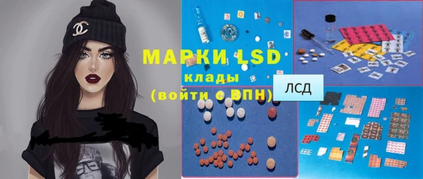 мяу мяу мука Иннополис