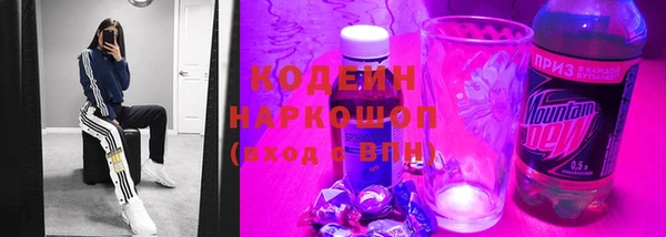 мяу мяу мука Иннополис
