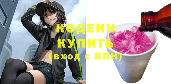 дмт Инта