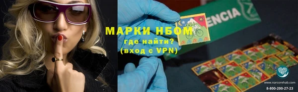 мяу мяу мука Иннополис