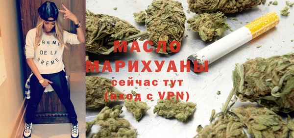 дмт Инта
