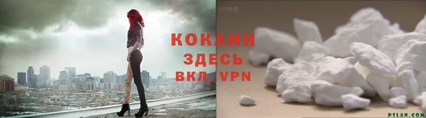 дмт Инта