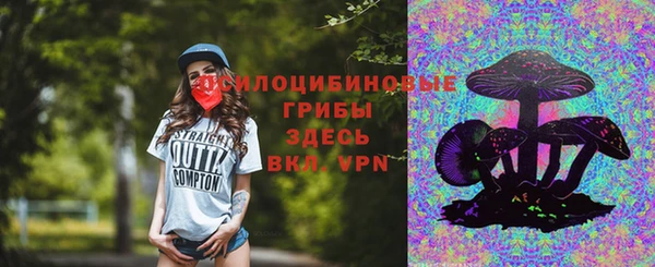 дмт Инта