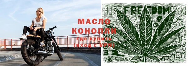 мяу мяу мука Иннополис
