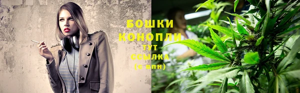 дмт Инта