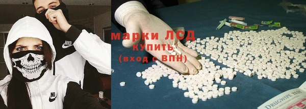 мяу мяу мука Иннополис