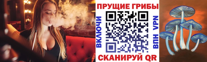 Купить где  Крымск  Псилоцибиновые грибы ЛСД 